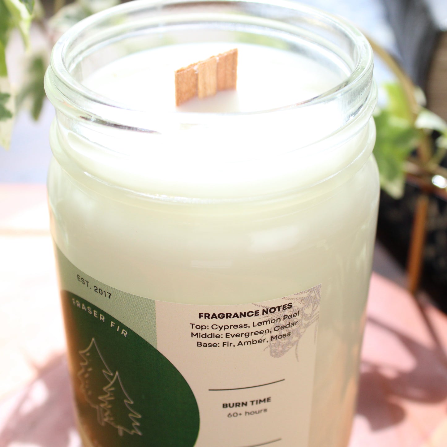 Fraser Fir Soy Candle