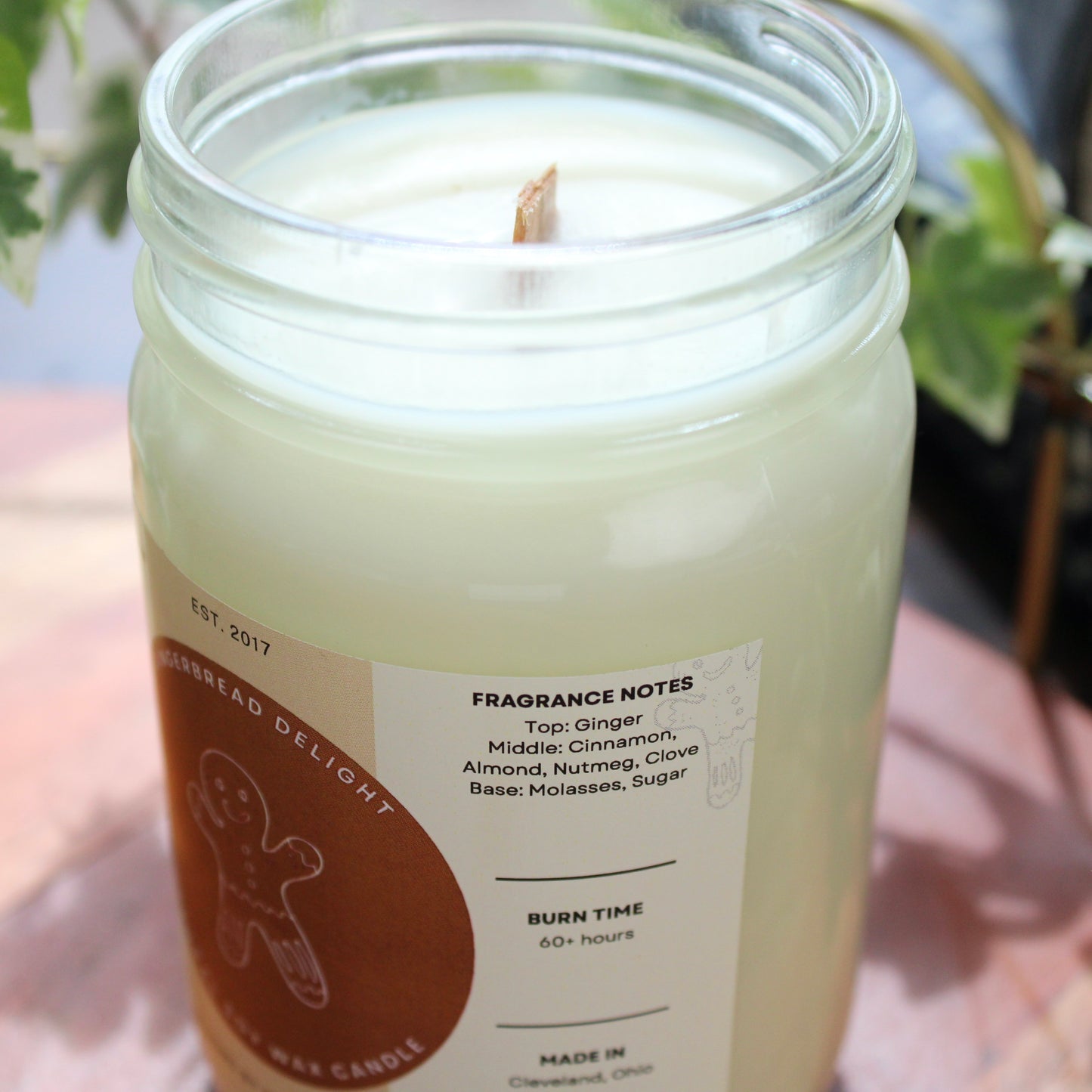 Gingerbread Delight Soy Candle